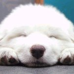 성공하는 리더를 위한 유머기법 7가지^^