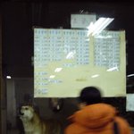 버스터미널 매표소 안에 있던 난감한 매표원?