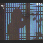[메리대구공방전] 냐옹대구 <b>늑대</b>대구