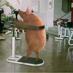 <b>몸짱</b>되고 싶어요~!