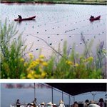 <b>진주</b> 목걸이 어떻게 만드는지 아세요?