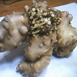 <b>더덕이</b> 이정도면 심본거다!