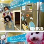 중국에서 나온..<b>애완</b>동물 목욕시켜주는 자판기(?)