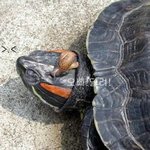 오빠~달려!! <b>속도</b> 좀 내봐요~