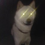 헤드라이트에 hid 달았는데 <b>평가</b>점