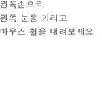 신기한<b>착시</b>현상