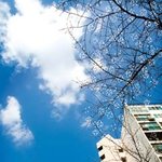 아직 늦지 않았다!! 숨어있는 서울근교 벚꽃명소 공개!