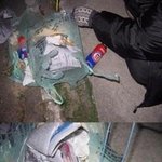 쓰레기<b>봉지</b> 속 강아지