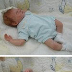 가짜 아기들 조금은 징그럽습니다