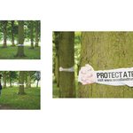 프리 허그? 이젠 트리 허그~!!