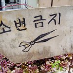 이 도구의 <b>함축</b>적 의미
