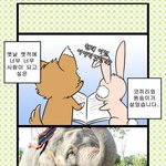 방콕 원숭이가 게이가 된 <b>사연</b>..ㅋㅋ