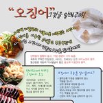 [펌] 오징어 완전 <b>정복</b>