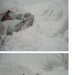 이정도는 되야 <b>폭설</b>이라고 할 수 있지ㄷㄷㄷ