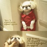 <b>표정연기</b>의 달견?