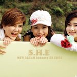 [s.h.e.] <b>s.e.s</b>.전문 표절여그룹!!  왜 그렇게 하나같이...