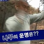 백오동 나무라고 있어요... 굉장히 <b>단단</b>합니다..