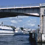 보잉기를 개조해서 만든 비행기 <b>보트</b>