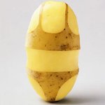 [난<b>감자</b>] 몸짱은 그대의 것이오