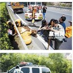 중국의 미친소..사람 잡아먹겠다!!!