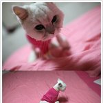 배두나,<b>쇼파</b>에서 그냥 굴러도 화보느낌 작렬