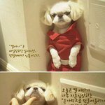 강아지의 <b>독백</b>