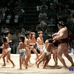 저글링vs울트라<b>리스크</b>
