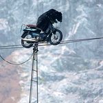 <b>재주</b> 부리는 곰