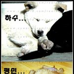 여선수의 굴욕 3종 <b>세트</b>