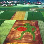 광고하고 <b>농사</b>짓고,cropvertising