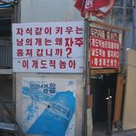 이제 이 <b>팜플렛</b>들이 날 지켜줄거야