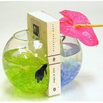 책도 고정하고 줄거움도 주는 <b>어항</b> 북엔드