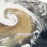 황사조심! 황사<b>해독</b>에 좋은 식품들