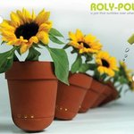 '물을 주세요' 화분