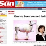 새끼 양’을 ‘고급 <b>푸들</b>’로 속여 팔아