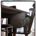<b>순덕</b>이 식탁에 끼인사진..