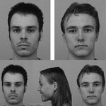 ‘질투의 심리학’ 女는 인기男에 호감, 男은 인기男 낮게 평가