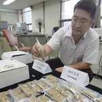 강정 마약  12명 <b>적발</b>