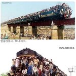 너무 한 곳에 <b>밀집</b>되어 있어~!