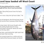 낚시로 325kg <b>참치</b>를 낚았어요~