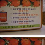 만병 <b>통치</b>약 '석류'ㅋㅋㅋㅋㅋ