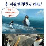 서핑하는 펭귄~! <b>와우</b>~