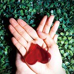 부자 될 남자 관상! 골라서 만날까?