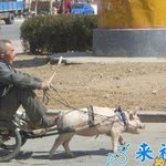 러시아 <b>카지노</b> 폭력사고