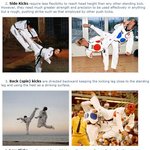 '무시무시한 태권도 킥 <b>top</b> 5'