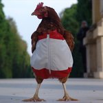 내가 이 옷 벗고 <b>뒷짐</b> 풀면 너희는 다 끝이야!!