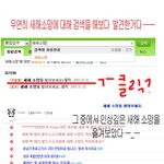 '2007년 엽기적인 새해<b>소망</b>;;'