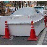 자동차를 너무 사랑한 주인