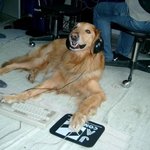 <b>pc</b>방 이것만 지켜주세요!!