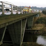 21m <b>높이</b>에서 떨어졌는데 멀쩡하네?